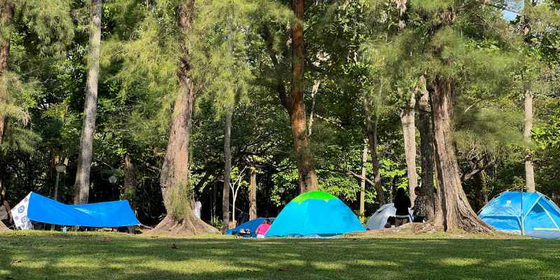 Camping In The Wood Right Beside the Beach in Sunny Singapore